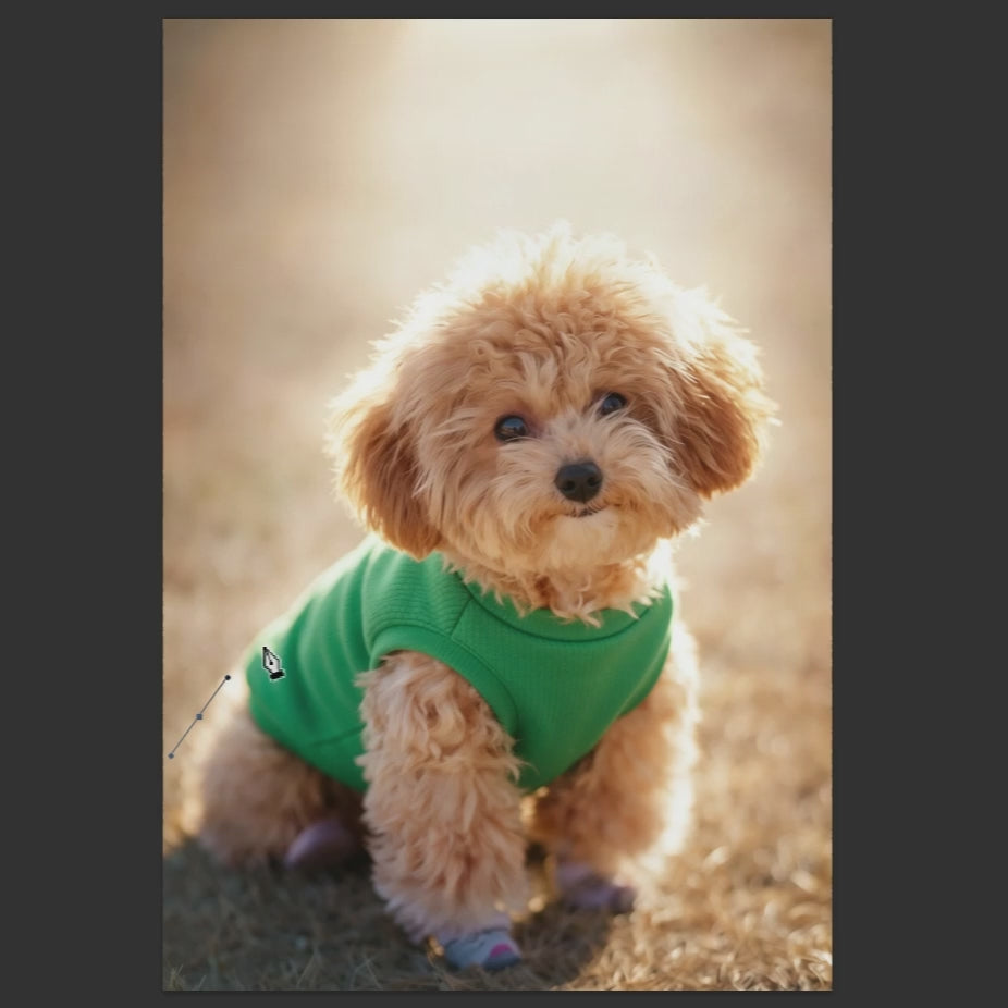 Personalized Leather Case for iPhone 17 16 15 14 13 12 -Pro Max Plus Custom Pet Photo Picture Laser Engraved Phone Case